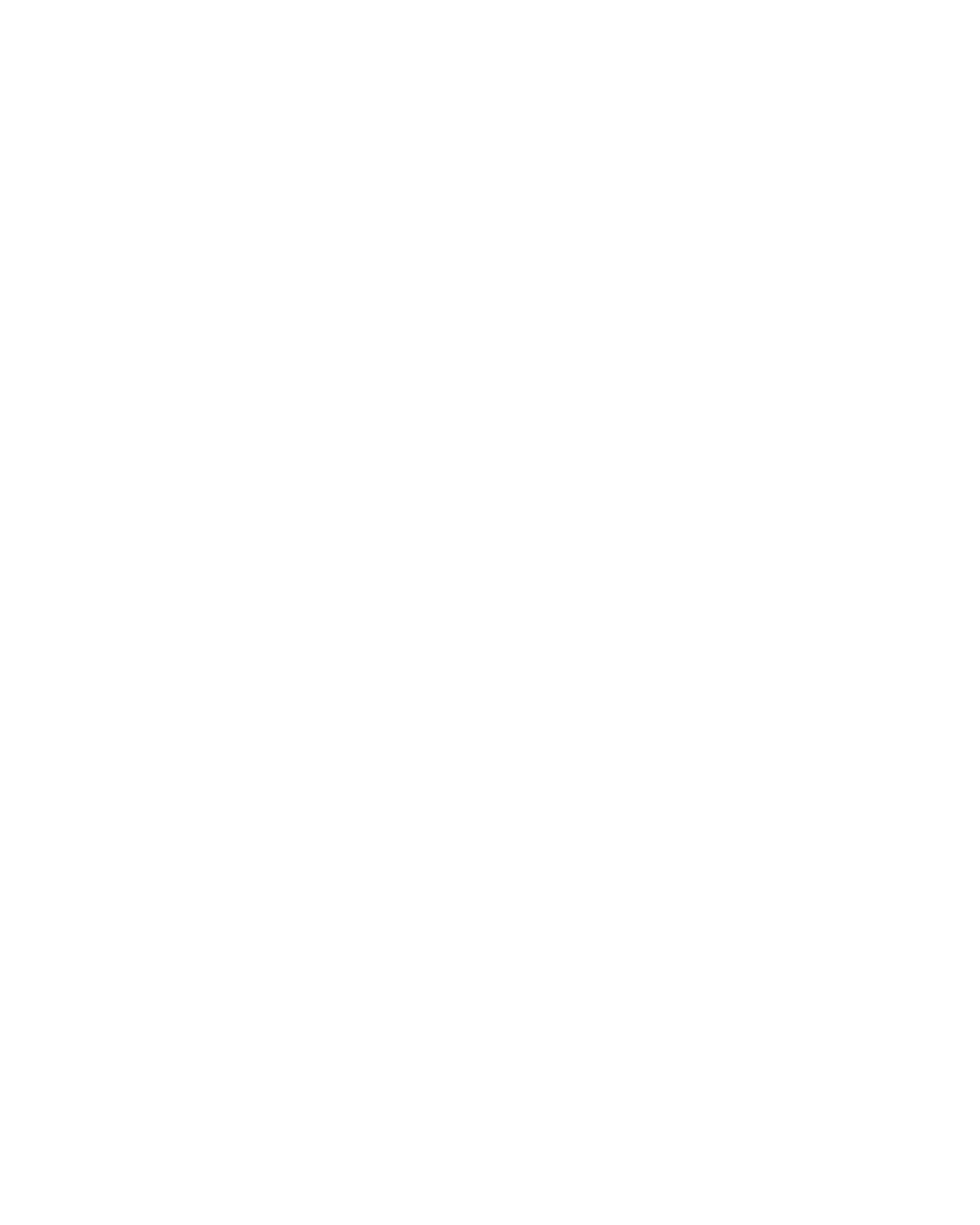 LUIZ CARIBÉBRANCO